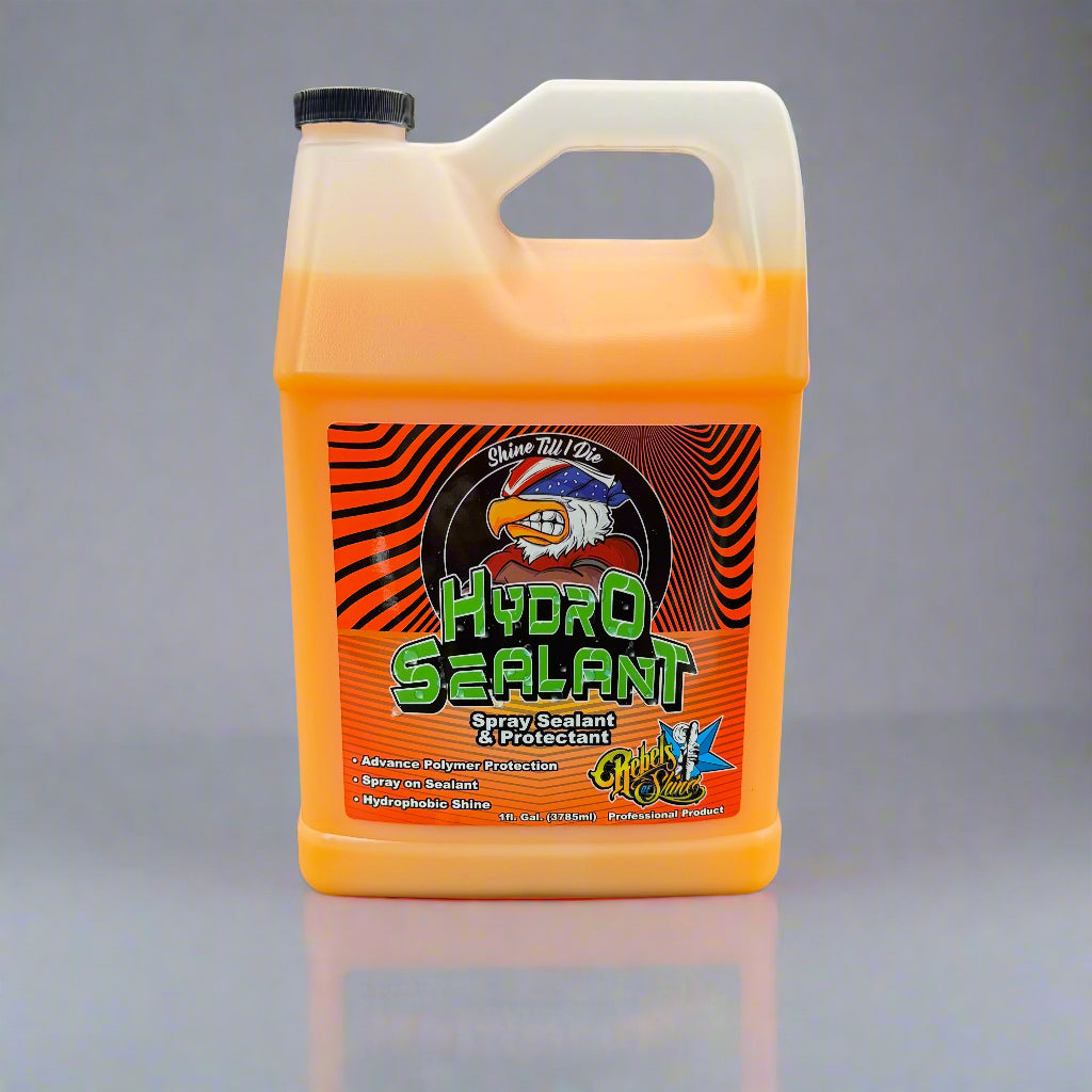 Rebels of Shine Hydro Sealant Spray Sealant & Protectant