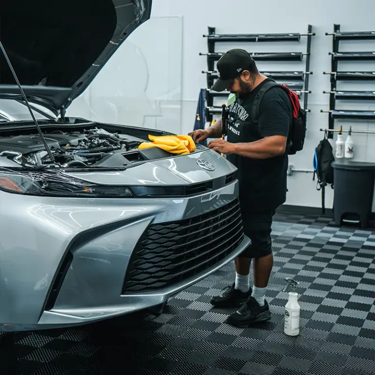 phantom filmwerkz svl - 8